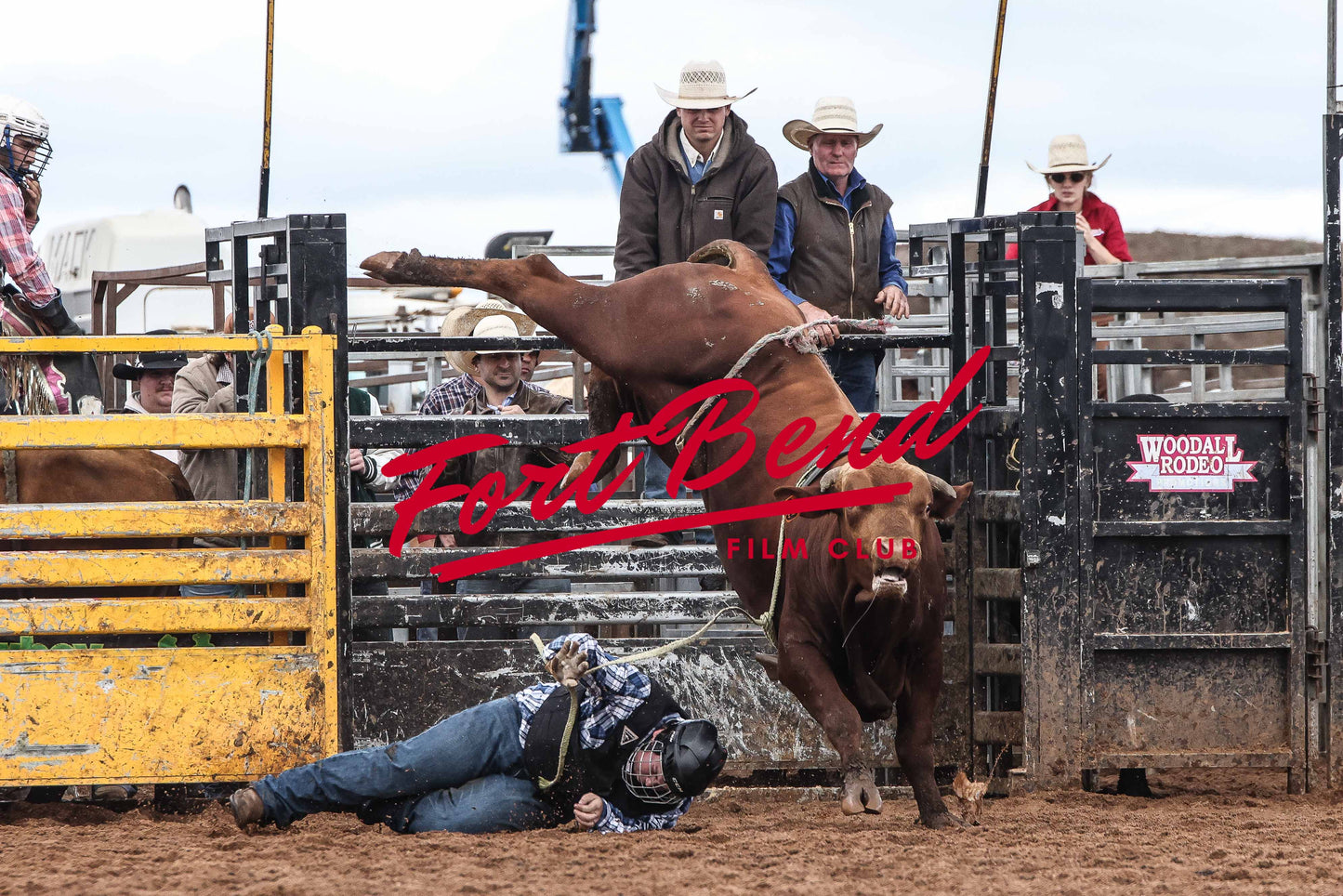 Anakie Rodeo Image 4