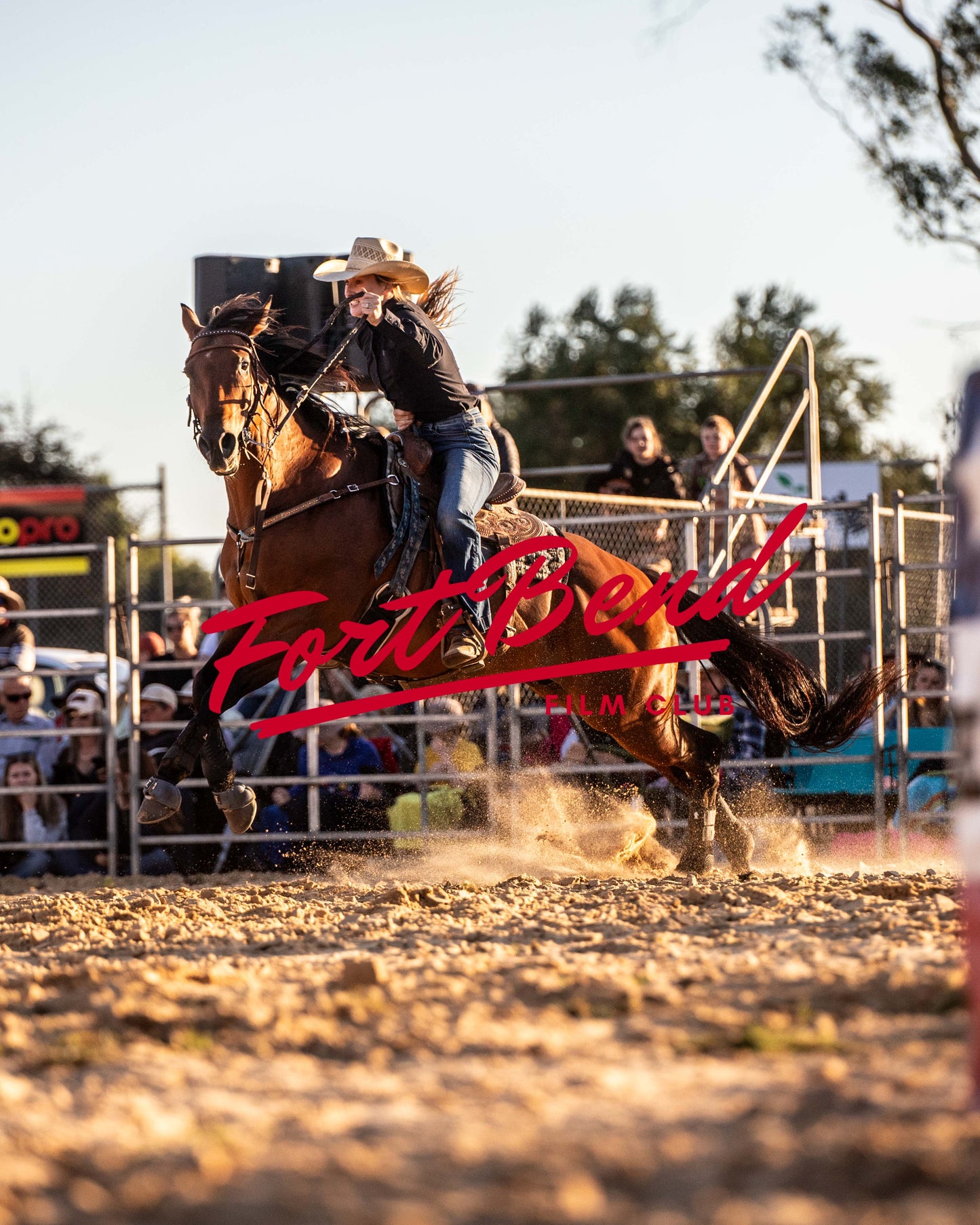 Branxholme Rodeo Image 16