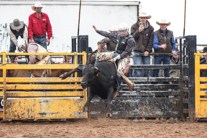 Anakie Rodeo | 29.11.25