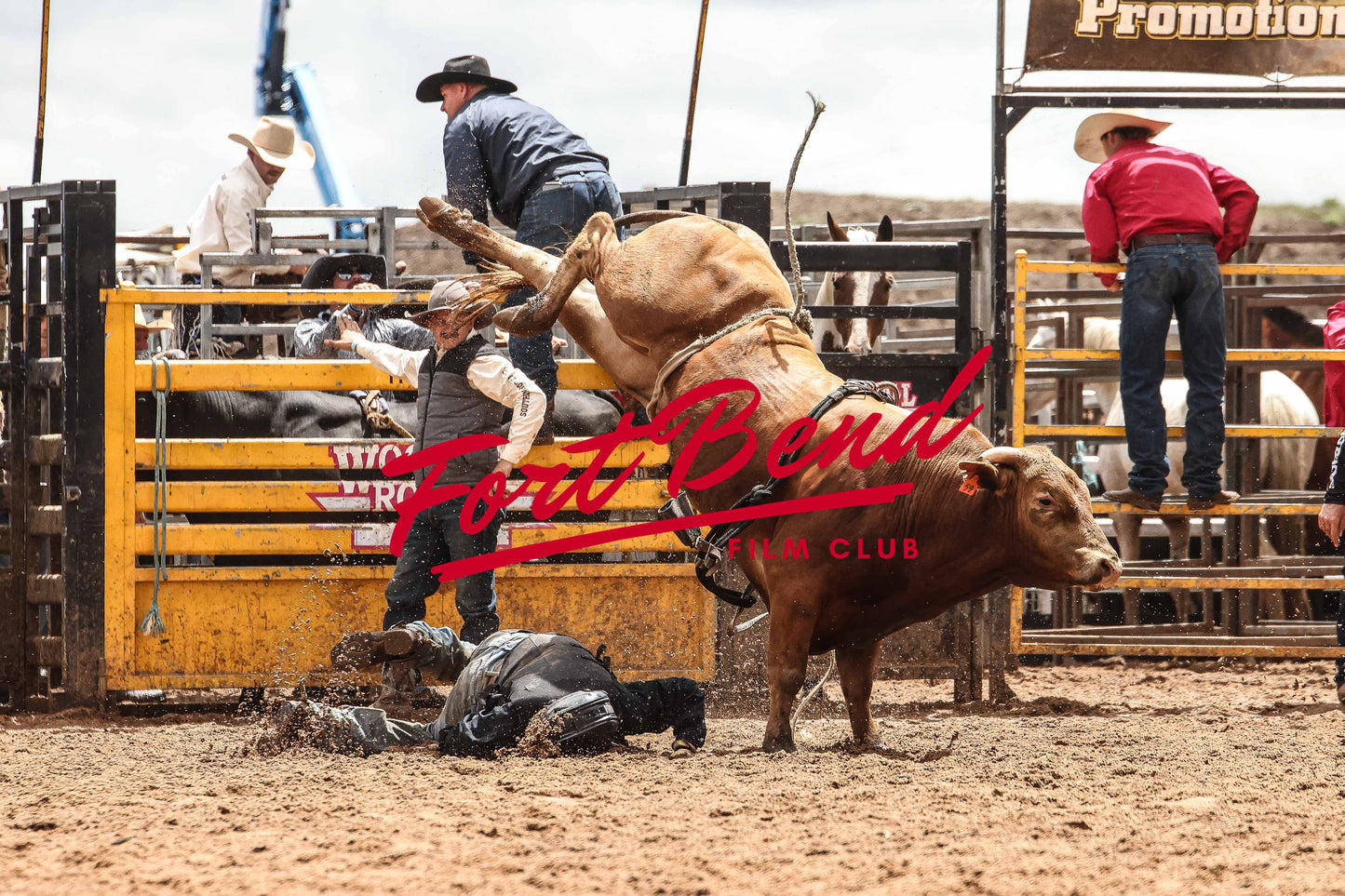 Anakie Rodeo Image 14