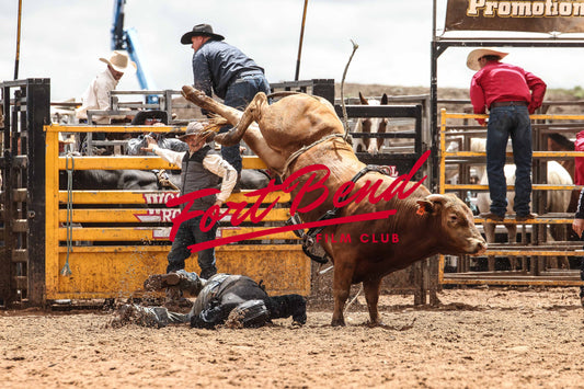 Anakie Rodeo Image 14