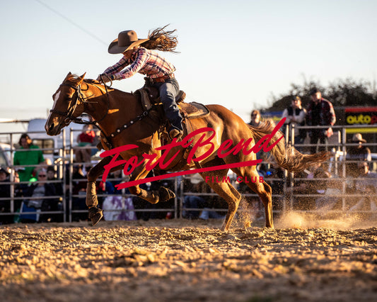 Branxholme Rodeo Image 3