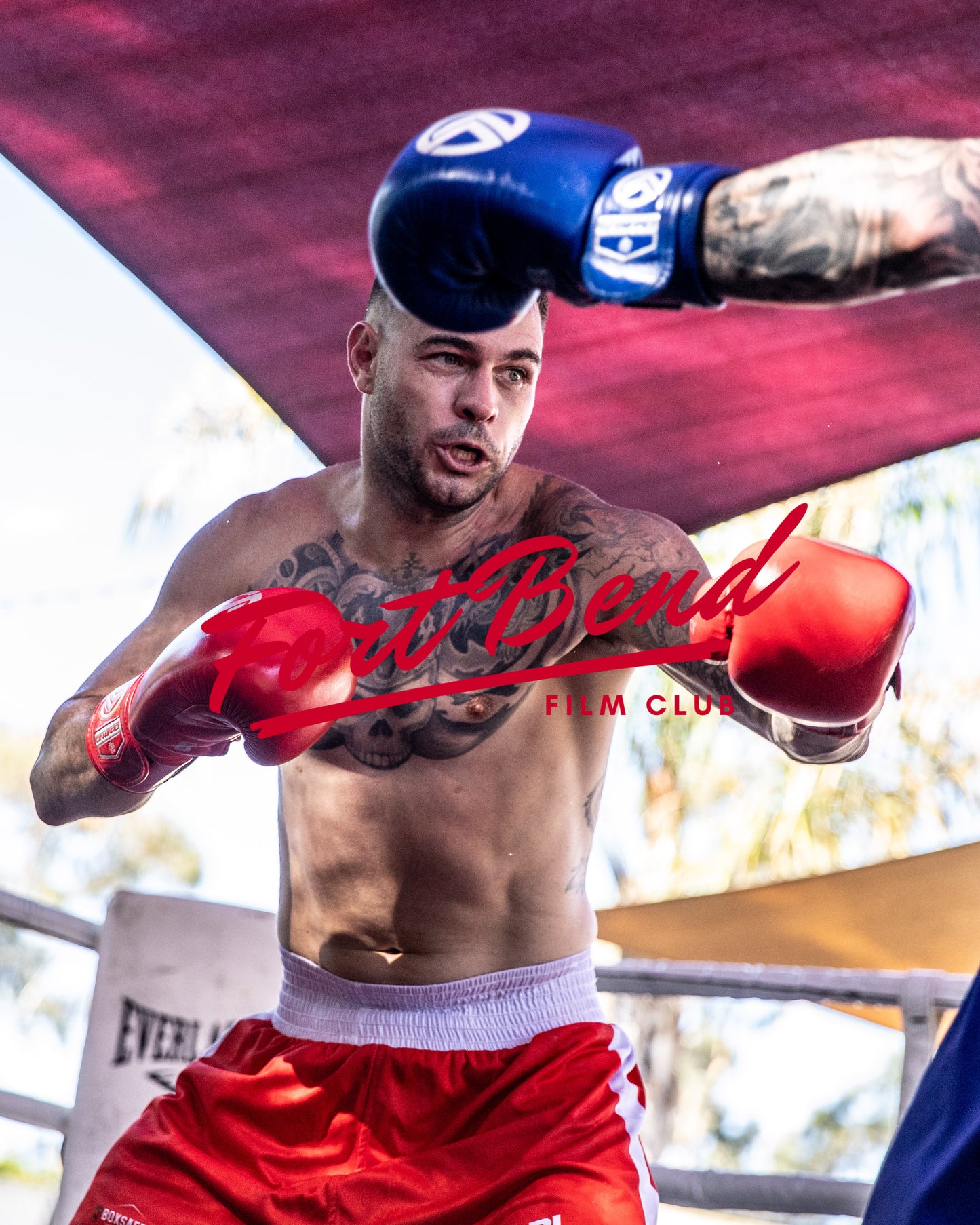 Fight 11 - Shane Piper v Brent Alchin (11)