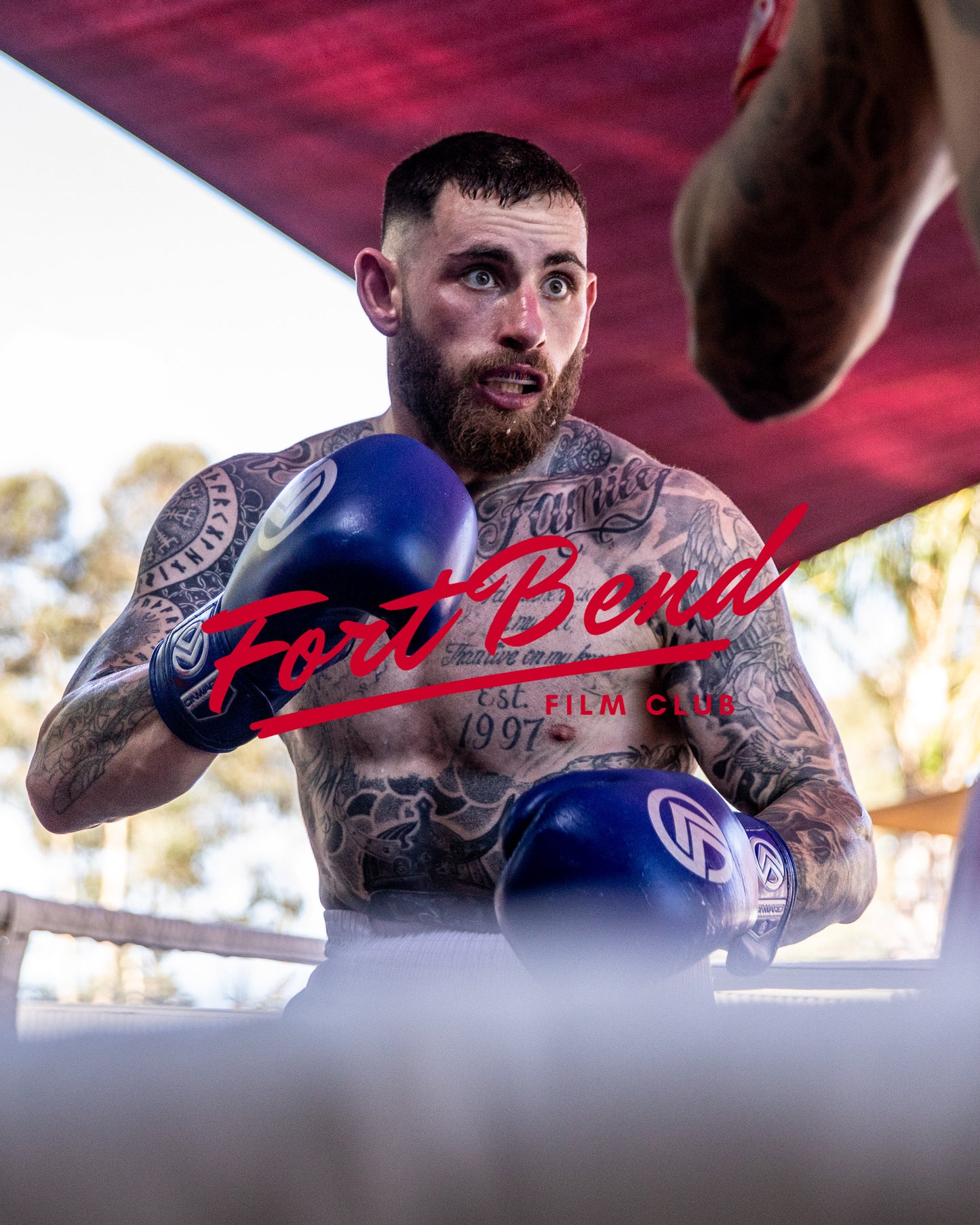 Fight 11 - Shane Piper v Brent Alchin (7)